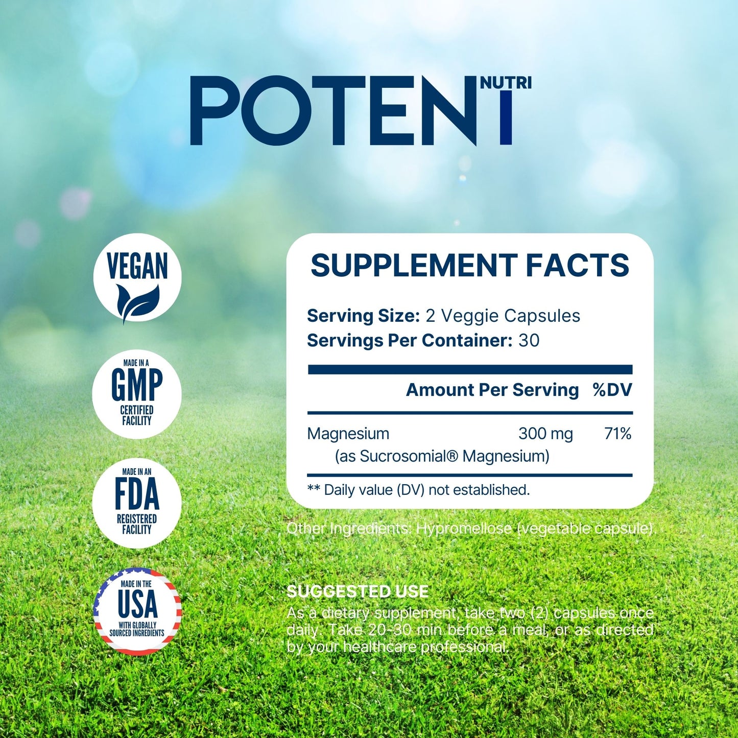 Potent Nutri Sucrosomial Magnesium — 300 mg High Absorption Magnesium Supplement (60 Capsules)